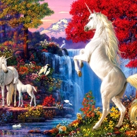 Dream World Unicorn F1C