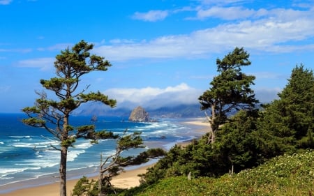 Oregon Beach - beach, ocean, surf, trees, oregon, rocks, coast, nature, sand, sea