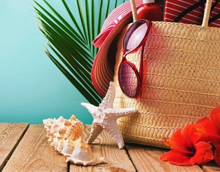 Summer Vacation - handbag, glasses, hat, shells