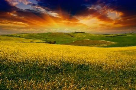 Tuscan hills - hills, beautiful, landscape, grass, sunset, Tuscany, view, Italy, field, sky