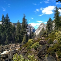 Yosemite National Park