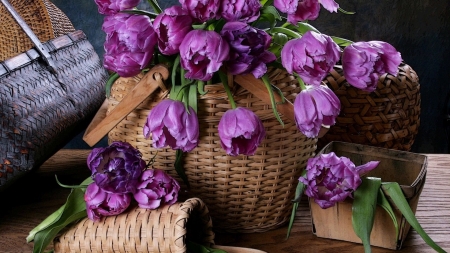 Still Life - pretty, Vase, Still Life, Flower