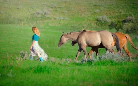 Following - horses, nature, fields, girl