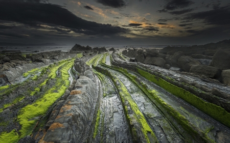 Coastal Rocky Landscape - nature, landscape, moss, coastal, rocky