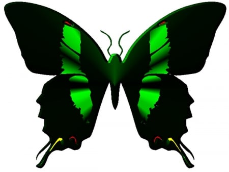 Pcologist's butterfly 07 - designg, butterfly, decorative, pleasing