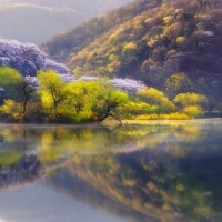 Spring in Japan