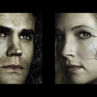 The Vampire Diaries (TV Series 2009â€“ )