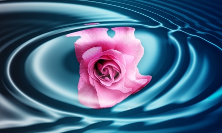 Pcologist has love gone - blue ripple, rose, ripples, water