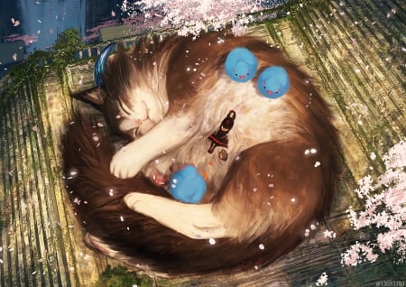 Sleeping cat - arizuka, anime, chicken, view from the top, blue, girl, spring, cat, manga, pisica, animal, luminos