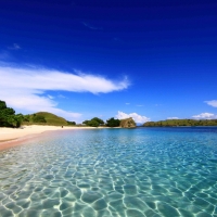 Pink Beach at Komodo Island