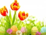 Spring ~ Easter