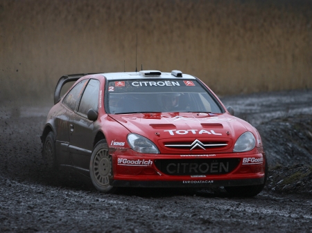 citreon xsara wrc