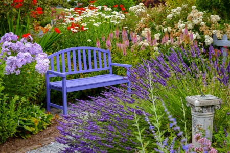 My Solace - bench, flowers, garden, spring