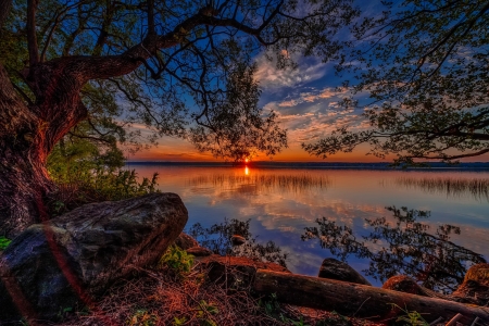 Sunset river - river, branches, sunset, beautiful, lake, dusk, reflection, sky