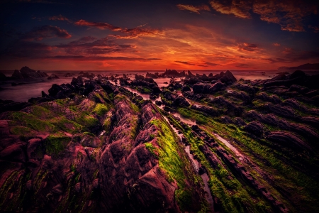 Beautiful Scenery - field, sky, nature, sunset