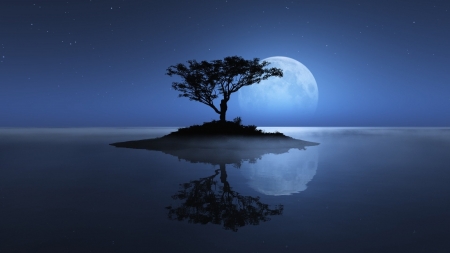 Blue Night - moon, reflection, nature, tree