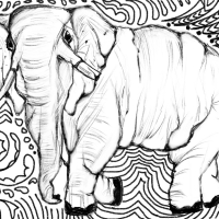 Zen Elephant Doodle