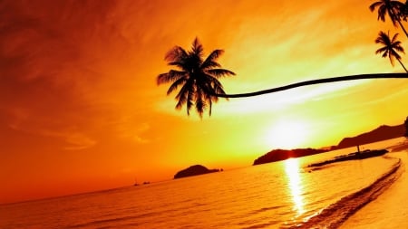 Tropical Beach at Sunset - clouds, trees, nature, beach, mak island, thailand, reflection, palm