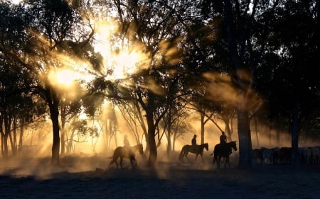 Cowboys - horses, nature, forest, cowboys