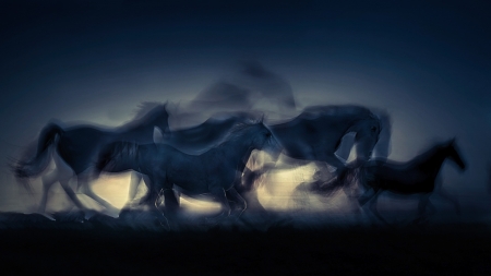 Wild horses - horses, abstract, cg, wild