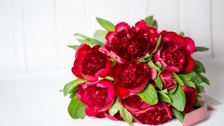 Beautiful Flowers - flowers, red, peonies, petals