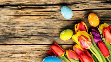 Easter Eggs - eggs, easter, tulips, wood