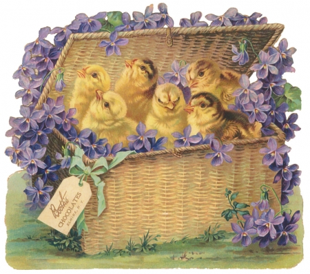 Happy Easter! - easter, spring, purple, chicken, yellow, vintage, card, cute, flower