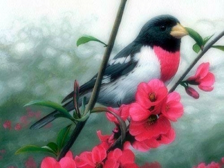 Rore Breasted Grosbeak in Spring - nature, love four seasons, animals, paintings, flowers, garden, spring, birds