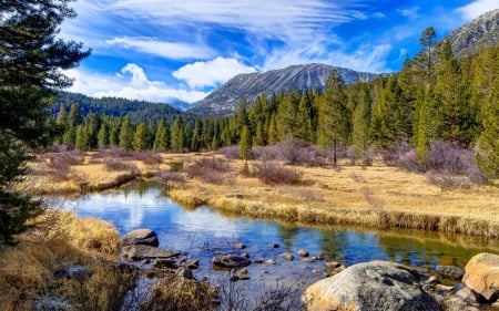 Lake - water, Lake, forest, mountain, tree, river, cloud, peak, sky