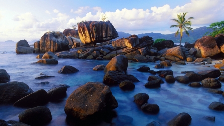 Glowing Beaches, Seychelles - trees, glowing, nature, beach, sea, rocks