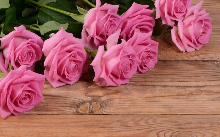 Happy Mother's Day! - wood, trandafir, flower, pink, valentine, woman, rose, mother, card, day