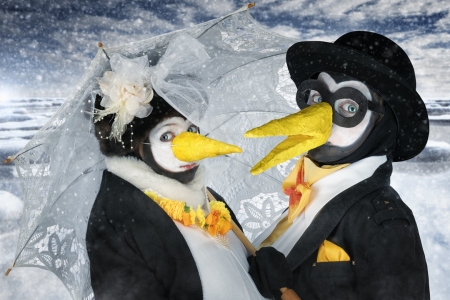 Just Mrs and Mr Penguin - couple, penguin, funny, creative, black, fantasy, white, john wilhelm, yellow, children