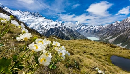 Spring wildflowers - slope, lake, sky, landscape, mountain, hills, spring, view, clouds, beautiful, grass, snowy, wildflowers