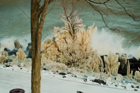 Ice sculptures on Lake Erie during a storm - ice, water, flowers, cold