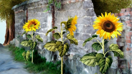 Sunflower Wall - autumn, sunflowers, summer, fall, wall, rock, flowers, garden, firefox persona theme