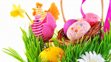 Chickens and Eggs - easter, flowers, spring, basket, eggs, grass