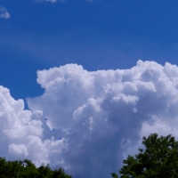 Little Pig Of Clouds