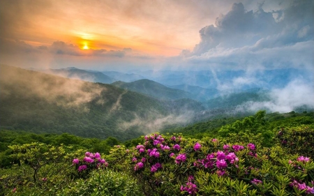 Mountains - sun, clouds, blooms, fog, mountains