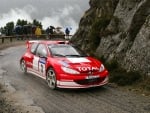 peugeot 206 wrc