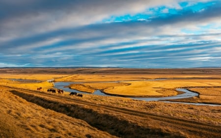 Fields - horizon, nature, sky, fields