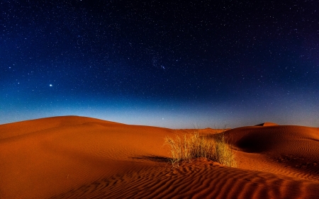 Desert Night - dunes, night, nature, desert