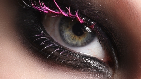 Eye Make Up - lashes, eye, close up, make up