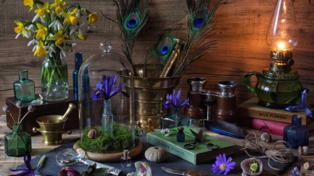 Still Life - flowers, book, still life, wood