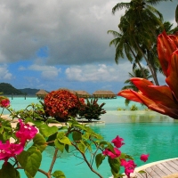 Blue Lagoon at Bora Bora