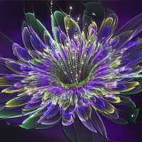 Fractal Flower