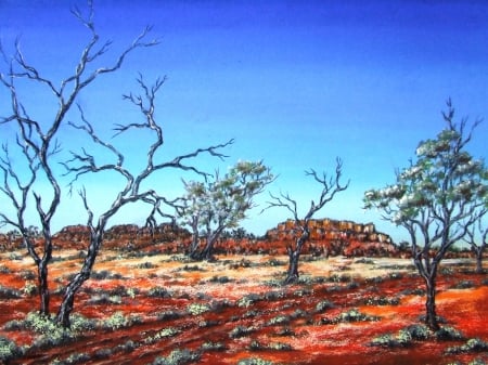 australian outback - rock, australian, tree, outback