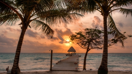 Coco Plum Island - clouds, tropics, nature, island, sunrise, ocean, pier, palm