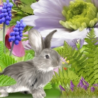 Bunny & Blossoms