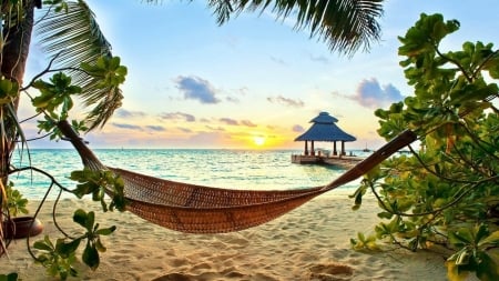 Beach Lounger - sand, palm, lounger, clouds, beach, trees, sunset, nature