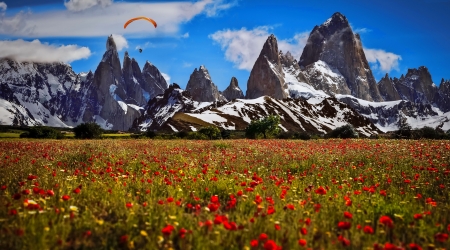 Swiss mountains - mountain, summer, meadow, rocks, spring, pretty, beautiful, parachute, wildflowers, switzerland, cliffs